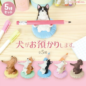 【5種類セット】 ガチャ ガチャガチャ コンプリート 中身 動物 犬 いぬ かわいい フィギュア おもちゃ 鉛筆置き えんぴつ置き ボールペン置き [ 犬がお預かりします ] 柴犬 しば犬 ゴールデンレトリーバー フレンチブルドッグ チワワ トイプードル