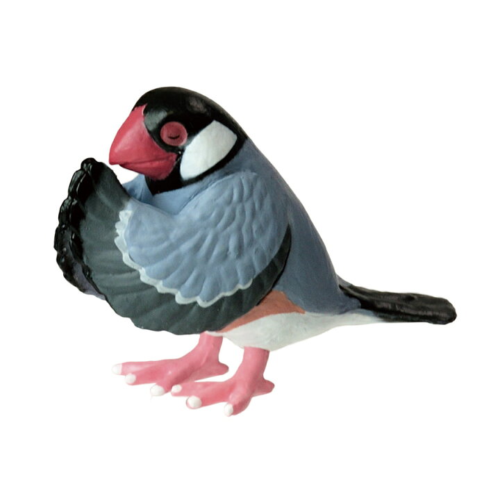 楽天市場 全5種類セット ガチャ ガチャガチャ コンプリート 中身 動物 鳥 かわいい フィギュア おもちゃ 合掌 匠 鳥拝 丹頂鶴 ミミズク 桜文鳥 スズメ メジロ いただきプラザ楽天市場店