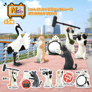 yS5ރZbgzK` K`K` Rv[g g  L lR 킢 tBMA  [ ɂ񂱃`l ]