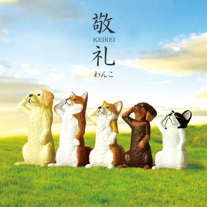 楽天市場 全5種類セット ガチャ ガチャガチャ コンプリート 中身 動物 かわいい フィギュア おもちゃ 敬礼わんこ 犬 いぬ いただきプラザ楽天市場店