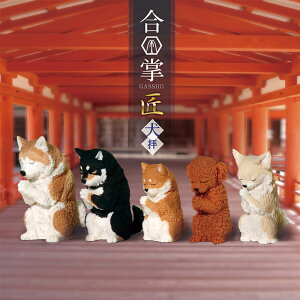 �K�`�� �K�`���K�`�� ���g ���� ���킢�� �t�B�M���A �������� [ ���� �� ���q �S5��� ] �H�c�� �Č� ���΂��� �e �g�C�v�[�h�� �`���� �u���C���h�{�b�N�X