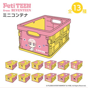 yyVSSSiP5{zPetiTEEN ܂肽݃~jRei 13