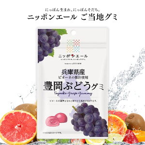 ご当地グミ ニッポンエール 兵庫県産 豊岡ぶどうグミ ご当地 お菓子 グルメ お土産 名産 果実グミ 全国農協食品