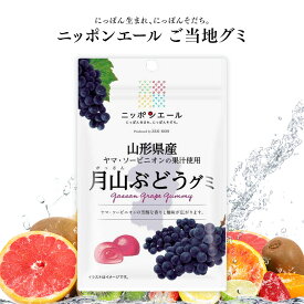 ご当地グミ ニッポンエール 山形県産 月山ぶどうグミ ご当地 お菓子 グルメ お土産 名産 果実グミ 全国農協食品