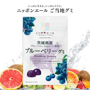 【新商品】ご当地グミ ニッポンエール 茨城県産 ブルーベリーグミ ご当地 お菓子 グルメ お土産 名産 果実グミ 全国農協食品 ブルーベリー