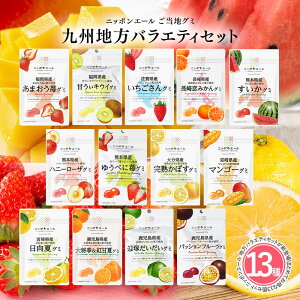 【九州地方バラエティセット 13種】全国農協食品 ニッポンエール ご当地グミ ご当地 お菓子 グルメ お土産 名産 果実グミ アソート