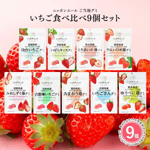 【いちごグミ 9種類セット】全国農協食品 ニッポンエール ご当地グミ ご当地 お菓子 グルメ お土産 名産 果実グミ アソート