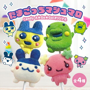 }V}  َq܂ }V}_ 킢 lCَq  SNS YouTube instagram [`[o[ CX^f zCgf[