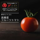 静岡県御殿場産 アイメック栽培 フルーツトマト【800g】 高糖度 ギフト 甘い ミニトマト プチトマト 濃厚 果物野菜 国産 贈答