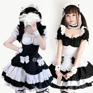 Ch [^ RXvߑ gbvX XJ[g nEC  ߑ RXv SX RX`[ Ch Aj EFCgX Pl  jp Y fB[X tZbg