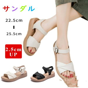 ȂT_ fB[X  X|[cT_ y T_ ₷ X|[eBT_   fB[XT_ ɂȂ }} ItBXT_ L r IV