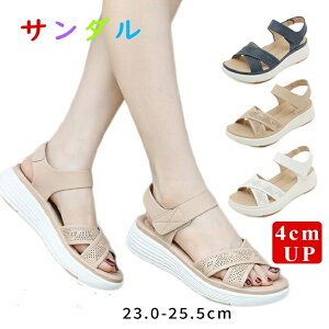 ȂT_ fB[X  X|[cT_ y 4cm T_ ₷ X|[eBT_   fB[XT_ ɂȂ ItBXT_ L r IV