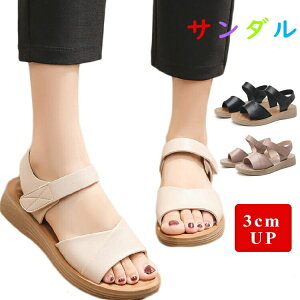 ȂT_ fB[X  X|[cT_ y T_ ₷ X|[eBT_   fB[XT_ ɂȂ }} ItBXT_ L r IV