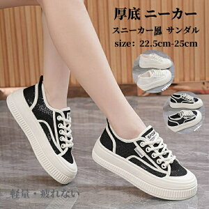 Xj[J[ T_ fB[X [X Xj[J[  X|[cT_ Ȃ _炩  ₷ IV ؂ wlC q[ ʋC ؍ fB[X r ɂȂ 