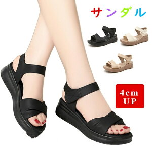 ȂT_ fB[X  X|[cT_ y T_ 4cm ₷ X|[eBT_   fB[XT_ ɂȂ }} ItBXT_ L r I