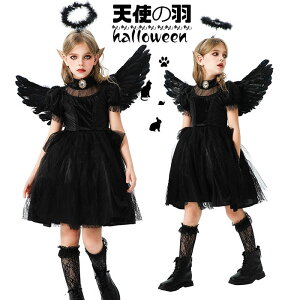 nEB RXv q   ߑ Vg̉H ޏ  RX`[ nEBRXv  @ ̎q  nEB RXvߑ fr ]r zS nE