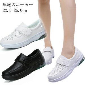 fB[X Xj[J[ Y h jOV[Y Xj[J[ C JWAV[Y y  ʋC ~ JWA lC ^C EH[LOV[Y WMOV[