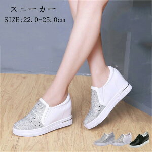 fB[X Xb| Xj[J[ Cq[ 7cm  LL [t@[ S\[ PU y r TCY 傫TCY [Jbg JWA  ʋ ʊw 22.0`25.5cm 