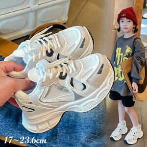 X|[cC Xj[J[ LbY ̎q j̎q _XV[Y q ^C  qbvzbv JWAV[Y _XXj[J[ ؍ i w ʉ ʊw y  _bhXj[