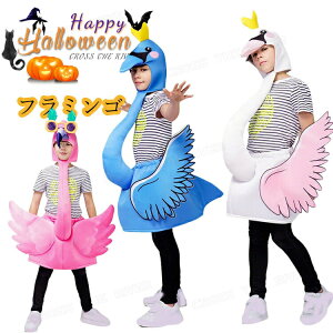 t~S RXv nEB ߑ q   RX`[ w WjA ΂̒nEB ߑ q   nEB I[C j̎q ̎q  p[eB