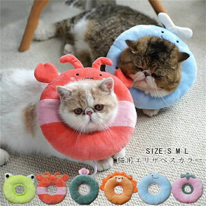 GUxXJ[ ybgpi  Lp p _炩 y lR rߖh~ p ޖh~ ybgpi hbOEFA Lp Em ^ ^ ^ rߖh~ ybgpi