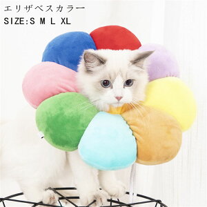 GUxXJ[  ybgp pi Lp p _炩 y rߖh~ p ޖh~ ybgpi ^ ^ ^ Lp Em 