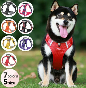  n[lX p n[lXxXg xXg ^ ^ ^ ˍ tN^[ 킢  EFAn[lX U s Oo ʉ@ ЊQ  p p  4F XS S M L XL