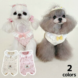  L  L p Lp t H h m[X[u n[lX ybg xXg   U U ԕ  rߖh~ی 畆ی싎p㕞 IX X pEGA 