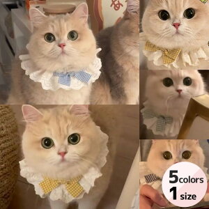 LpRbg[XXJ[t | 悾ꂩ  { L  ʕ ˂ ybgp [X {t ֕ ANZT[ 킢 MK`FbN [X t 