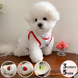  L ʕ ˂ ^Ngbv t[c ̂   hJ t  Rbgf ^p ^p hbOEFA ʋC 3FWJ 5TCYΉ j̎q ̎qp 