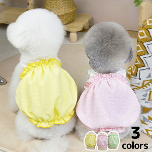  L ʕ ˂ tėp ybgEFA 킢 tXJ[g hX ^ ^   Lk ӂVGbg K[[ Vv 3FWJ y K _炩