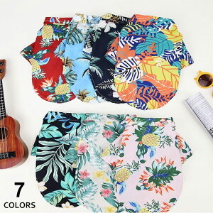  L AnVc hbOEFA ybg t  ʋC  킢 Vc ][g lC   q ybgEFA ̎q j̎q U ^ ^ ^ o v