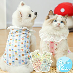  L ʕ ˂ t ԕ ܕ Aq _炩K[[f tėp N[   ^ Lp Ȃ ^Ngbv^Cv FWJ ybgEFA hbOEFA L