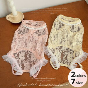  L ʕ ˂ [X ybg  t   ʋC tt nClbN m[X[u ^ ^ XS`XXL   킢 ̎q hbOEFA yb