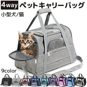 ^ Lp ybgL[obO \tgL[P[X 4wayΉ Jo bV\ ʋCQ X[cP[XŒ |  ԍڑΉ s ʉ@ o FWJ  Lp 