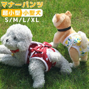  L ʕ ˂ ybgp pc Tj^[pc }i[pc V[Yp  S  {t hbg ^ ^ p EFA  U o 킢