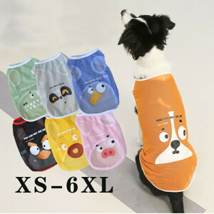  L ʕ ˂ bV  ^Ngbv Jtvg \CXg ĕ ʋC ^Ή XS`6XL 킢  y ^ ^ ybgEFA hbOEFA RXv