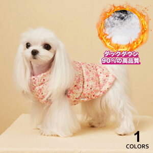  L L p Lp _E xXg ԕ H ~ _bN_E h ۉ g m[X[u WPbg ybg xXg   U U  ^ o 1J[ XS S