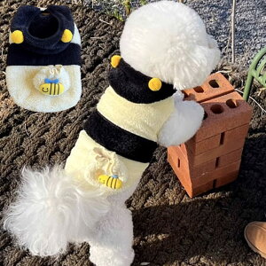  L L p Lp I n` RX`[ xXg Iϐg  g ybg   U U  ^ o 1J[ XS S M L XL