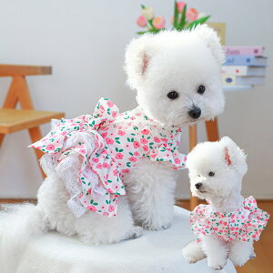 ybgEFA [Y×t?ybgpvZXhX  ̕ L L p Lp t H  ybg   U U  ^ ^ o XS S M L XL 