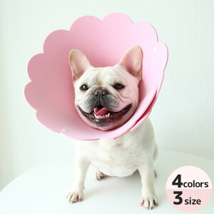  L ʕ ˂ Ԍ^ GUxXJ[ y _炩 K EȒP 킢 rߖh~ ݂h~  ybgpJ[ ȒP 炩  r r h~ 