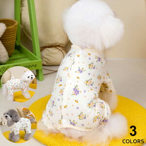  p㕞 D] L lR ˂ H ~p h ̎q j̎q OJ[   Ck pLp pEFAybgpiybgpEFA pc hbOEFAp  rߖh~ی 