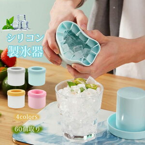 VRXM X ACXg[ 60 ~` pX Wt lpX o₷  XP[X ƒp ėp v[g Lb`p H  W[X l炵 