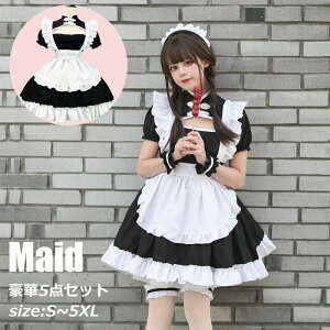 Ch RXv `Ci  nEC ߑ l  ؃Zbg Ch  [^ nEB[  fB[X lq   ZNV[ jEP w  傫TCY