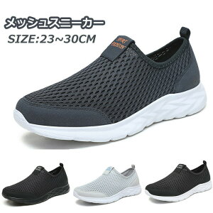 y23`30cmzbV Xj[J[ Y fC[X  V[Y 傫TCY   Xb| T_ bVXj[J[ bVV[Y y ʋC ^C [Jbg X|