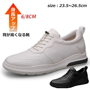 V[NbgV[Y Y Xj[J[ rWlX gUP  vC 6cm 8cm gAbv V[Y C Cq[ V[NbgXj[J[   [Jbg X|[c g[jO ₷ 