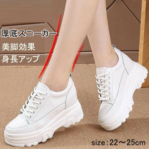  Xj[J[ fB[X U[ Xj[J[ V[Y C Xj[J[ JWA ^C  gAbv r [Jbg EH[LO  ɂ g[jO 傫T