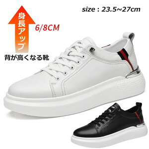 Y V[NbgV[Y Xj[J[ vC    gUP  JWA rWlX 6cm 8cmC gAbv V[Y Cq[ V[NbgXj[J[ [Jbg X|[c g