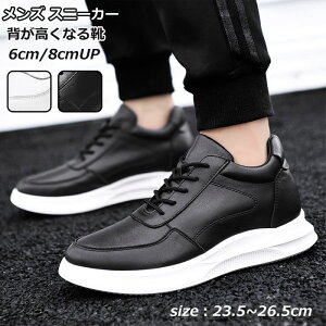 Xj[J[ Y V[NbgV[Y vC    gUP rWlX  6cm 8cm gAbv V[Y C Cq[ V[NbgXj[J[ [Jbg X|[c g[jO 