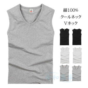 ^Ngbv Y VlbN xXg  m[X[u 100 傫TCY Xgb` z ʋC TVc X|[cEFA